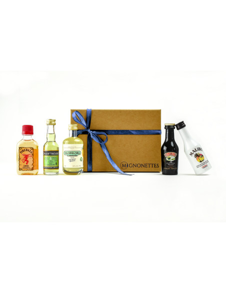 Coffret Découverte Spiritueux & Liqueurs 23 cl - Assortiment de boissons (17 % vol. à 55 %) | Mignonettes