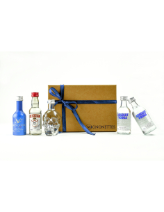 Coffret Vodka Premium 25 cl - Assortiment de vodkas (37,5 % vol. à 40 % vol.) | Mignonettes