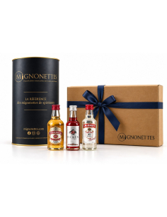 Coffret 3 mignonettes Ficken, Smirnoff Red et Chivas Regal 12 ans : Liqueur, Vodka et Blended Scotch Whisky | Mignonettes