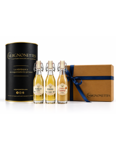 Coffret Trio de Liqueurs Bretonnes 15 cl - Liqueurs (18 % vol.) | Mignonettes