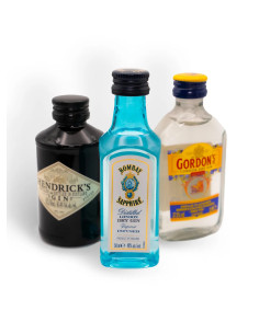 Coffret Découverte – Gins d’Exception – 41 à 44 % vol. – 3 × 5 cl | Mignonettes